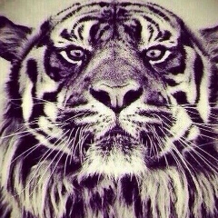 Rakhimdjan Suleymen, 02.05, Туркестан