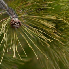 Эдуард Мингазиев, 27.11.1974, Екатеринбург