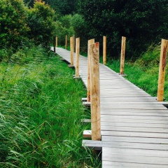 Hasan Heidari, 14.01.1998, Helsinki