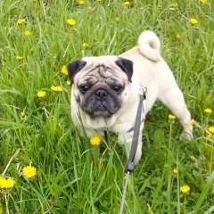 Леся Витальевна, 22.03.1986, Санкт-Петербург