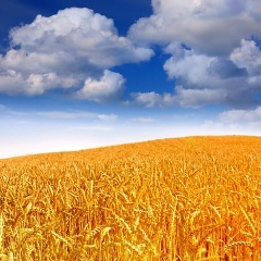 Oksana Ohyrchak, 26.05, Червоноград