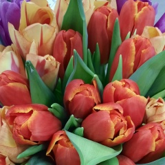 Анжелика Гролле, 18.07, Москва