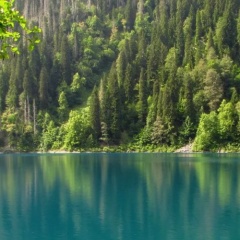 Анатолий Григорьев, 07.05, Луга