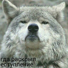 Vladislav Sivas, 05.06.1983