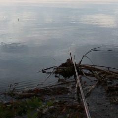 Влад Ефимов, 04.03.1979, Энгельс