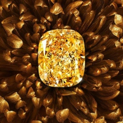 Arsen Simonyan, 24.02, Гюмри