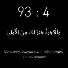 Мурад Солталиев, 26.06.1995, Сочи