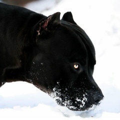 Руслан Северов, 10.04, Санкт-Петербург