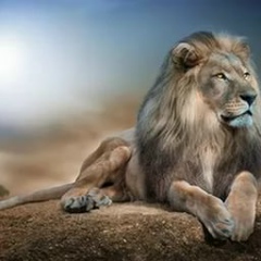 Roman Grigor'evich, 15.12