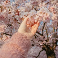 Баян Ерғалым, 20.03.1995