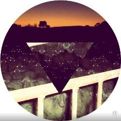 Ren Art, 02.02.1984, Москва