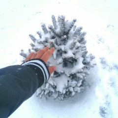 Самат Кенжебаев, 17.02, Алматы