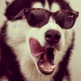 Павел Болгарев, 13.03.1992