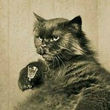 Богдан Бендер, 01.05.1985, San Pedro Sula