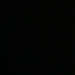 Вальдемар Кунцев