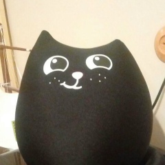 Василий Ежгуров, Санкт-Петербург