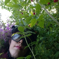Елена Пименова, 31.08, Луга