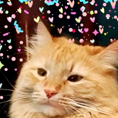 Вадим Попов