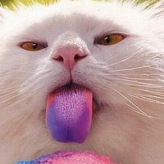 Евгения Андреева, 03.03.1990, Москва