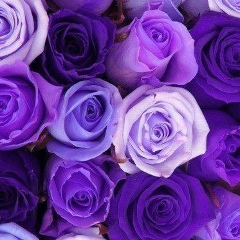 Клара Джексенбаева, 05.12, Атырау