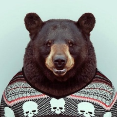 Ed Ed, 27.06, Волгоград