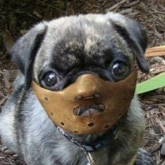 Albertik Manson, Сумы