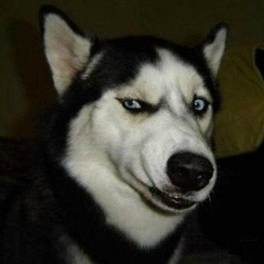 Алексей Сидоров, 06.06