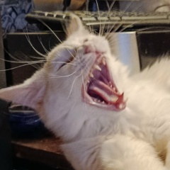 Максим Вярянен, 14.01.1978, Ушково