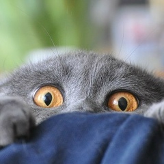 Николай Сидоровский, 01.04.1995