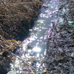 Илья Ульянов, 16.06.1987, Челябинск