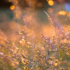 Катрин Рощина, 17.05.1988, Москва