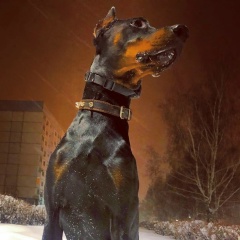 Владислав Мыльников, 30.06.1981, Ульяновск