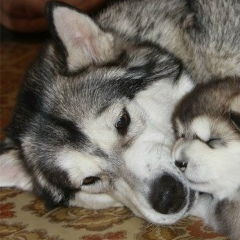 Света Быстрова, 06.01, Новосибирск