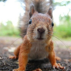 Dinara Khusainova, Санкт-Петербург