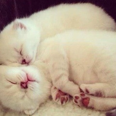 Инна Катханова, 01.03, Санкт-Петербург