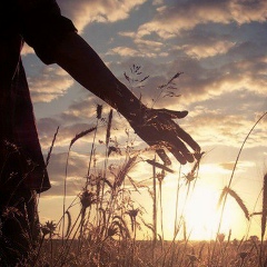 Роман Олейник, 02.11, Москва