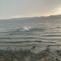 Вейсал Гаджиев, 04.08.1990, Норильск