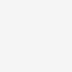 Zarema Gatagazheva, 07.11