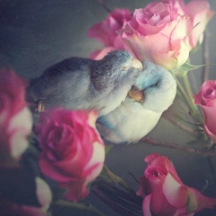 Гуля Рамазанова, 11.03