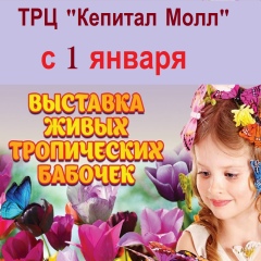 Амина Мацкевич, 17.01, Улан-Удэ