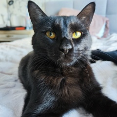 Алексей Обухов, 26.03.1985, Москва