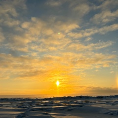 Анна Сенчило