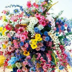 Анна Минина, 16.09, Санкт-Петербург