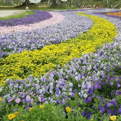 Жулдыз Булекбаева, 14.09, Алматы