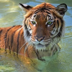 Даша Николаева, 02.02, Чебоксары