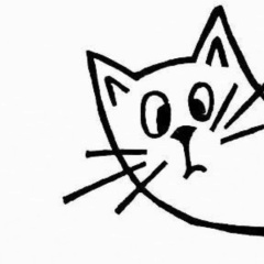 Марина Лукина, Санкт-Петербург