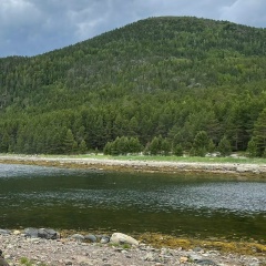 Ирина Ашкадова, Санкт-Петербург