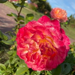 Зульфия Шакирова, Елабуга