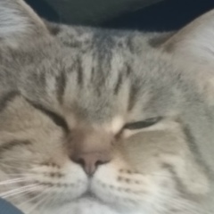 Оксана Ванюшкина, 13.01, Санкт-Петербург