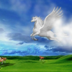 Ольга Дубас, 24.06.1984, Москва